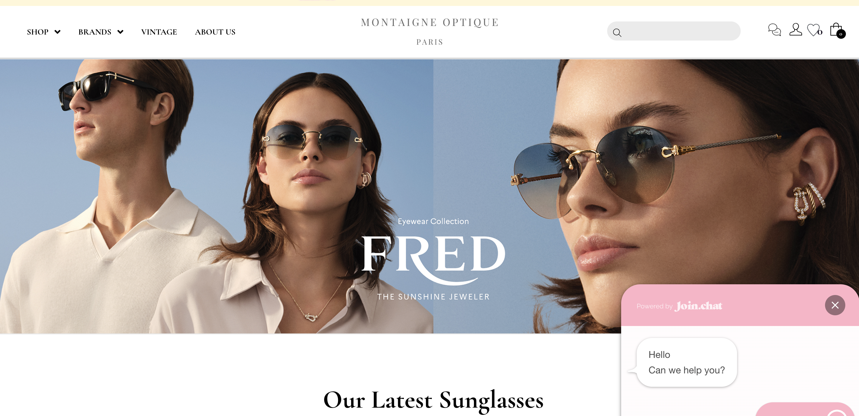 Preview Montaigne Optique